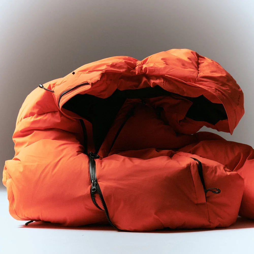 Fall / Winter 24 collection